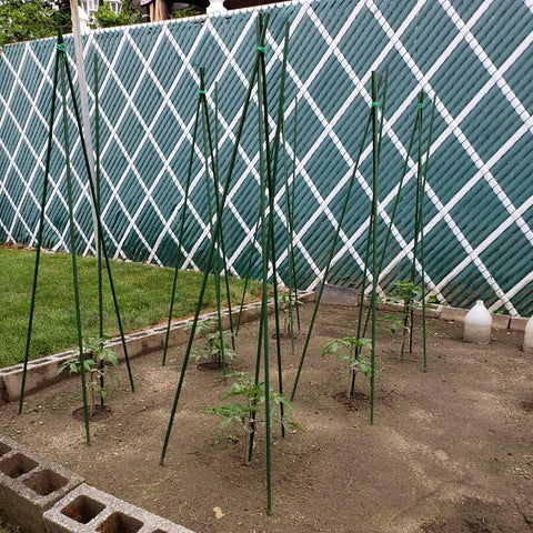 Xuwzenkl tomato stake supports vines and cucumbers with ease.