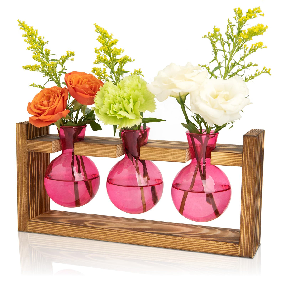 XXXFLOWER 3-bulb glass propagation station on wooden stand, ideal for indoor plant propagation