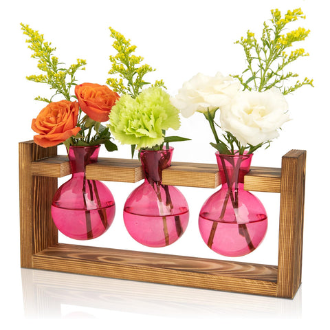 XXXFLOWER 3-bulb glass propagation station on wooden stand, ideal for indoor plant propagation