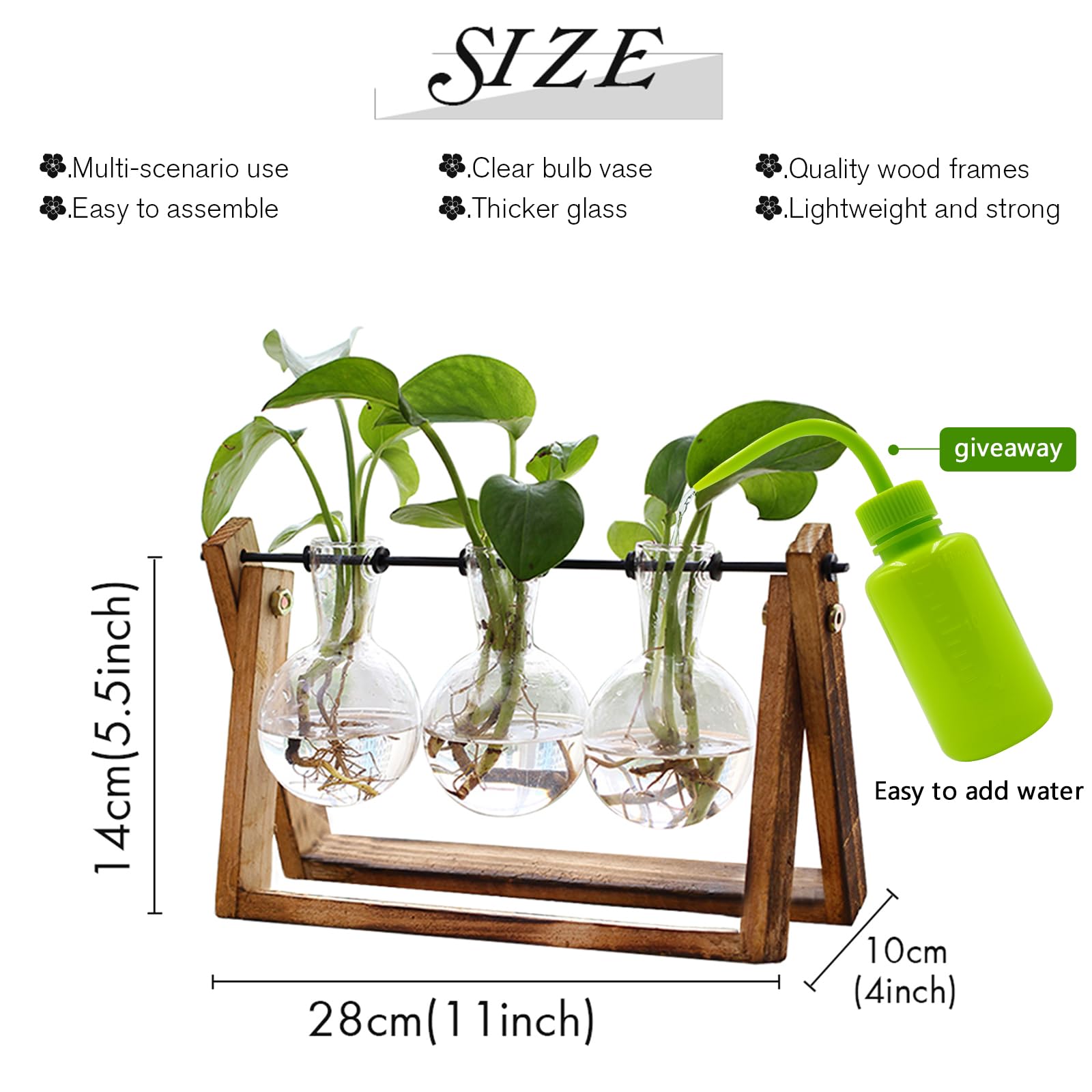 XXXFLOWER three-bulb glass vase showcases plant arrangements.