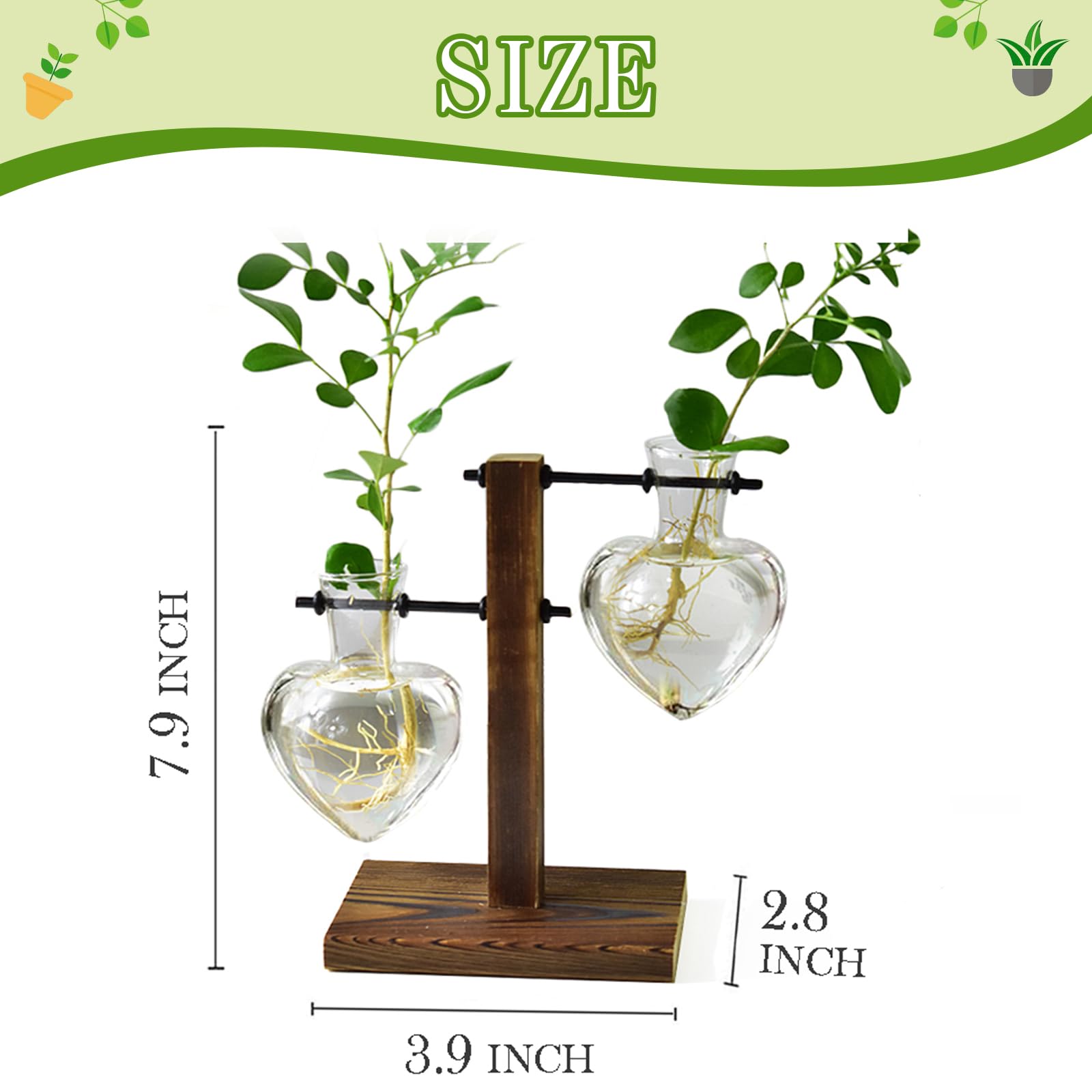 XXXFLOWER glass bulb vase centerpiece with clear view of plants