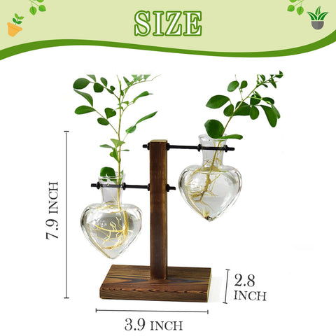 XXXFLOWER glass bulb vase centerpiece with clear view of plants