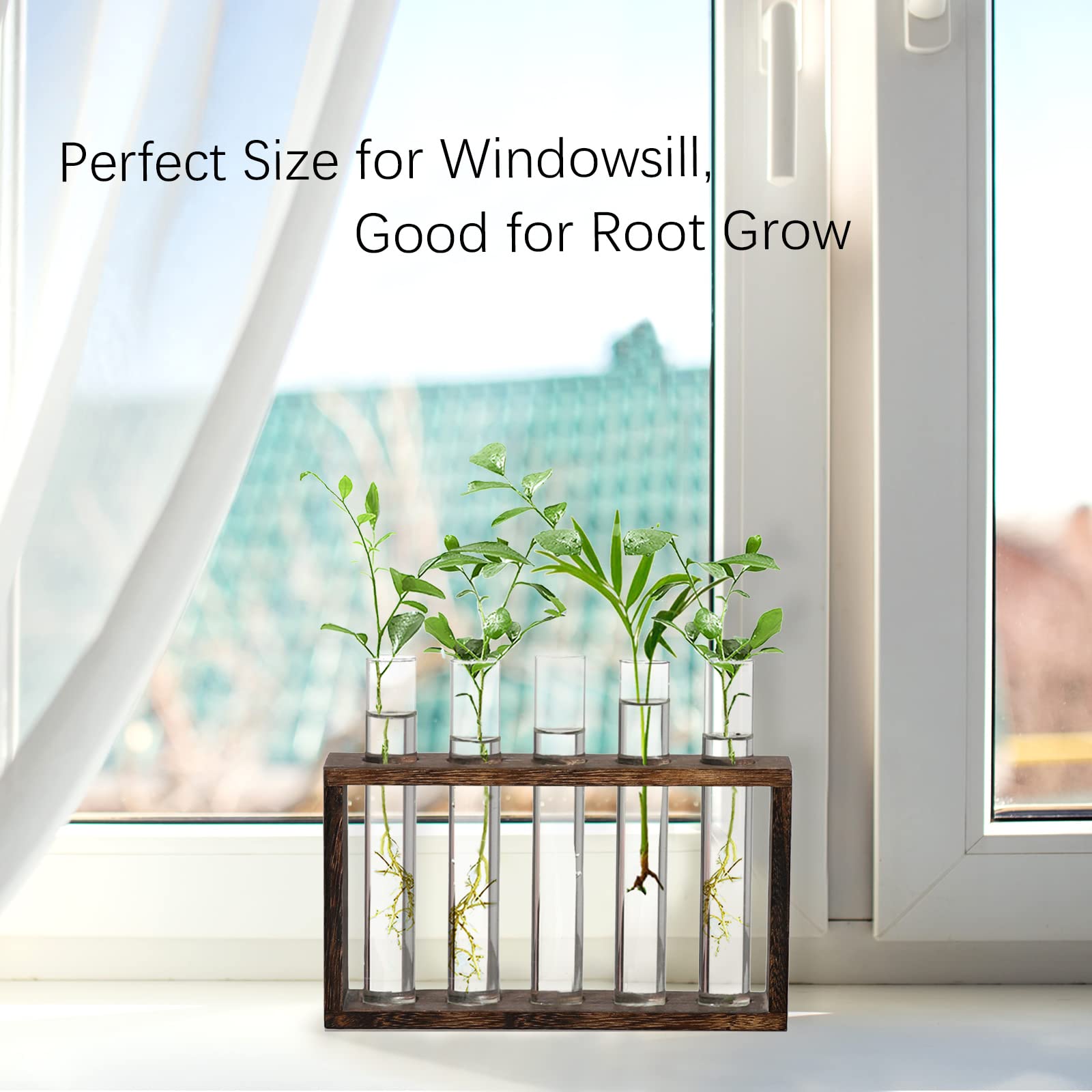 XXXFLOWER Desktop terrarium display elevates home or office décor with natural materials.
