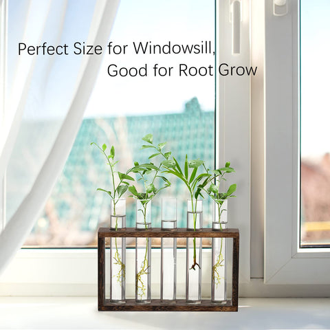 XXXFLOWER Desktop terrarium display elevates home or office décor with natural materials.