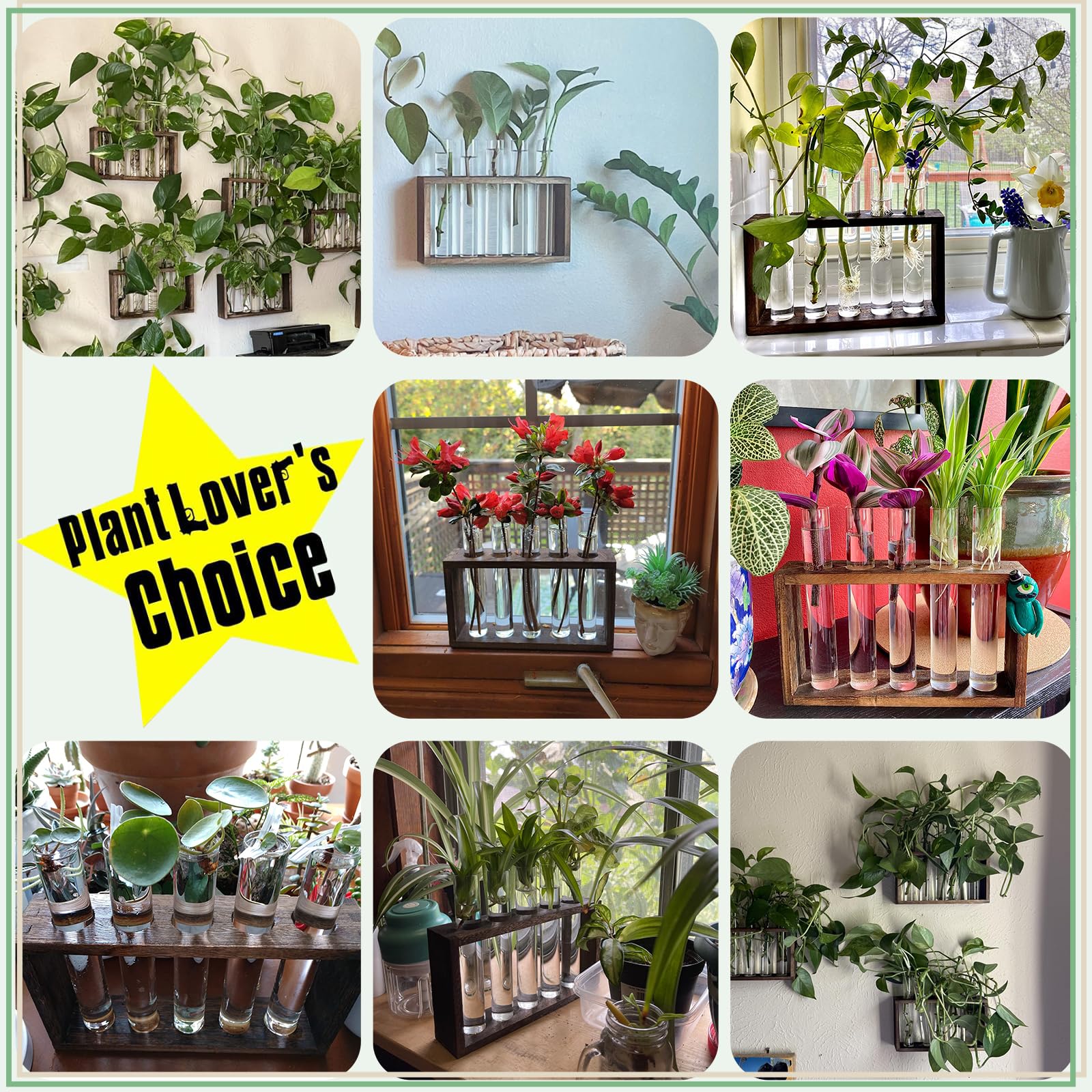 XXXFLOWER Propagation stand fits versatile spaces from windowsills to office desks.