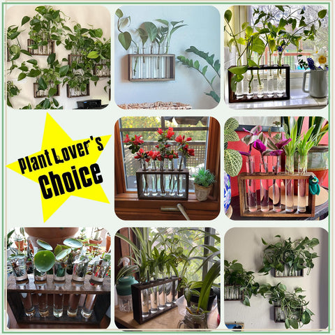XXXFLOWER Propagation stand fits versatile spaces from windowsills to office desks.