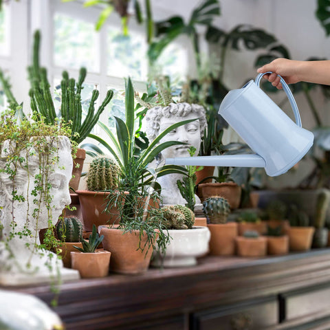 XXXFLOWER blue watering can in gift-ready packaging for plant lovers