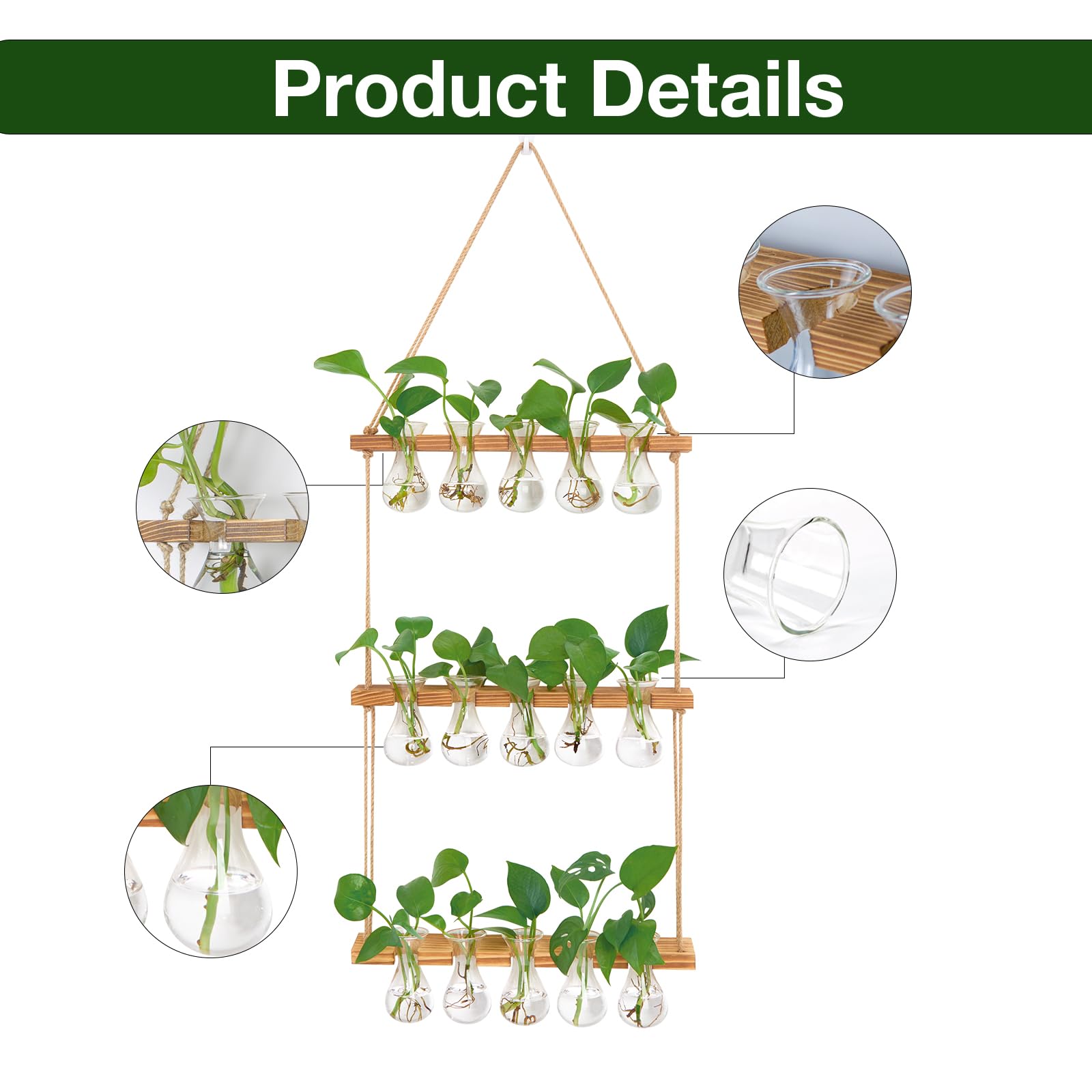 XXXFLOWER glass bulb vases propagation station highlights roots and growth in an elegant display.