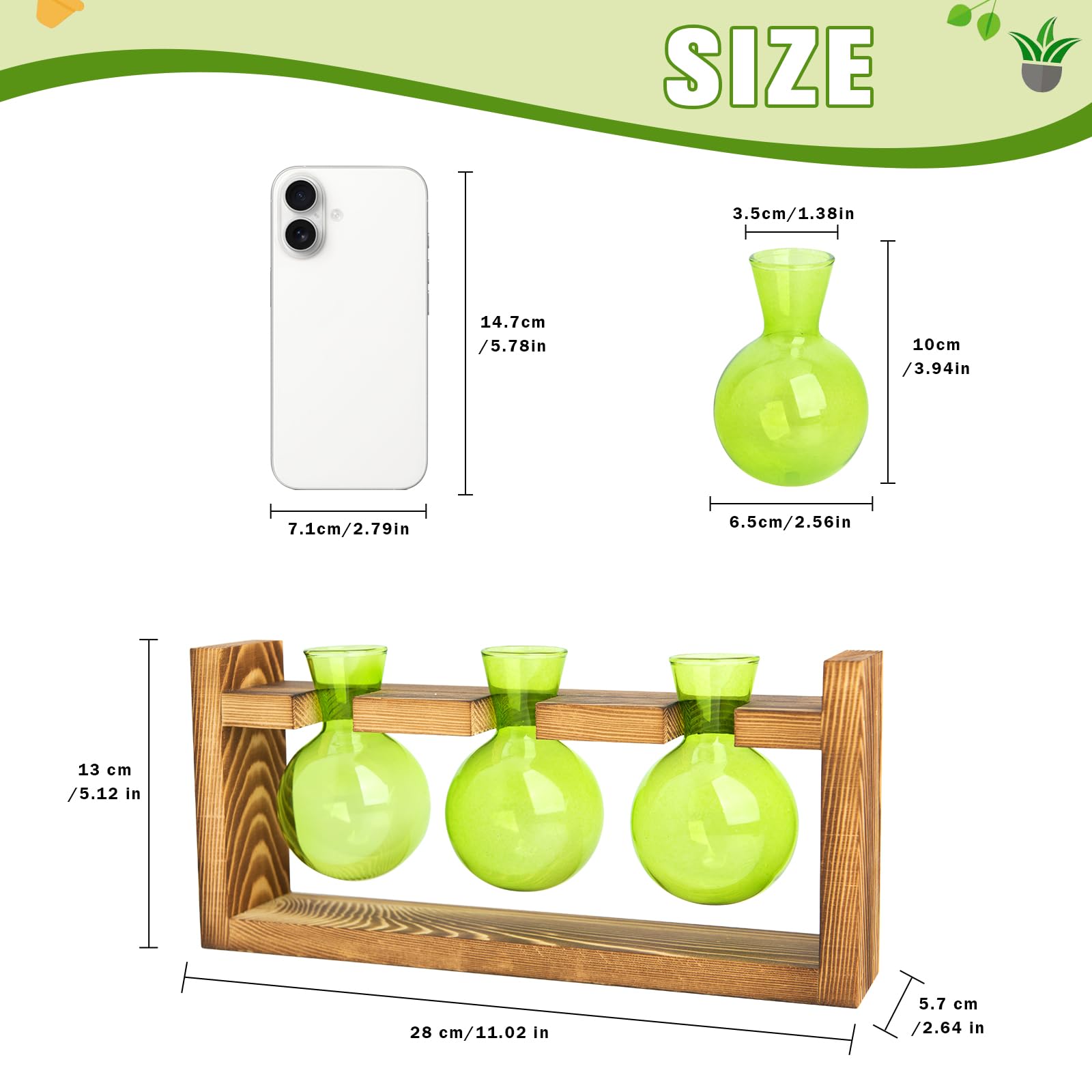 XXXFLOWER glass bulbs provide transparent viewing of roots and growth