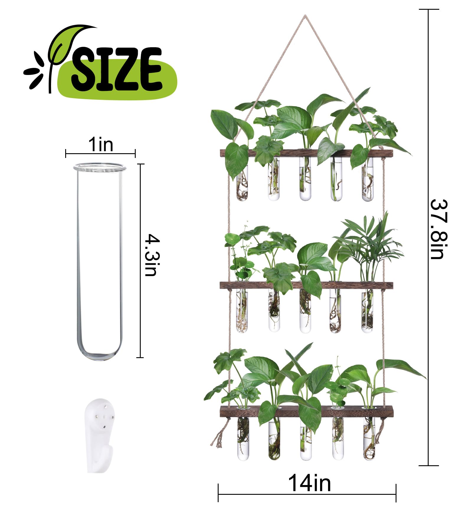 XXXFLOWER glass test tubes showcase plants clearly while saving space on wall displays.