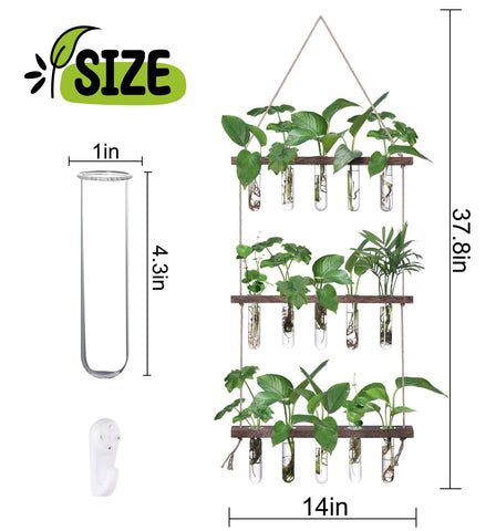 XXXFLOWER glass test tubes showcase plants clearly while saving space on wall displays.
