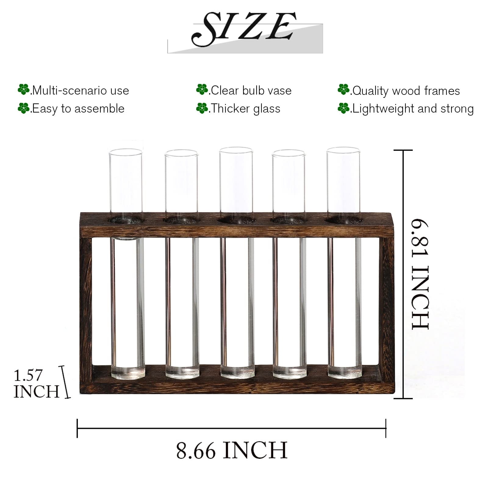 XXXFLOWER Glass test tubes display clear water and cuttings attractively on your desk.
