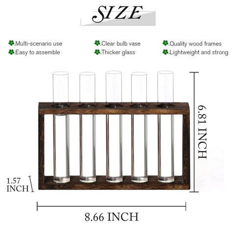 XXXFLOWER Glass test tubes display clear water and cuttings attractively on your desk.