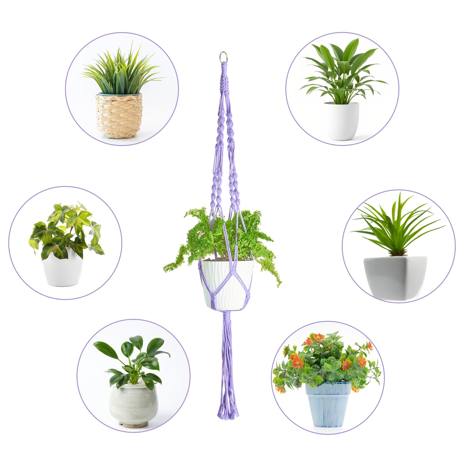 XXXFLOWER ideal indoor garden display for trailing vines and lush foliage