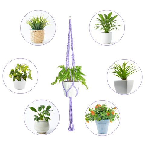 XXXFLOWER ideal indoor garden display for trailing vines and lush foliage