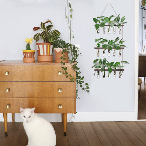  XXXFLOWER three-tier wooden stand blends natural charm with modern indoor plant display.