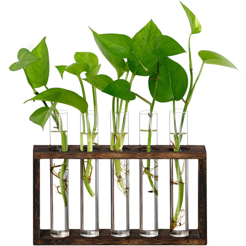 XXXFLOWER Plant Propagation Station with wooden stand and glass tubes for rooting cuttings.