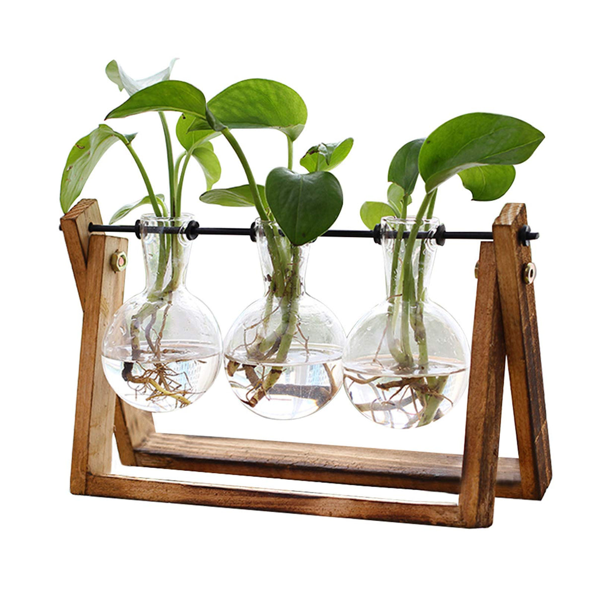 XXXFLOWER wooden stand terrarium on desk elevates home office decor.