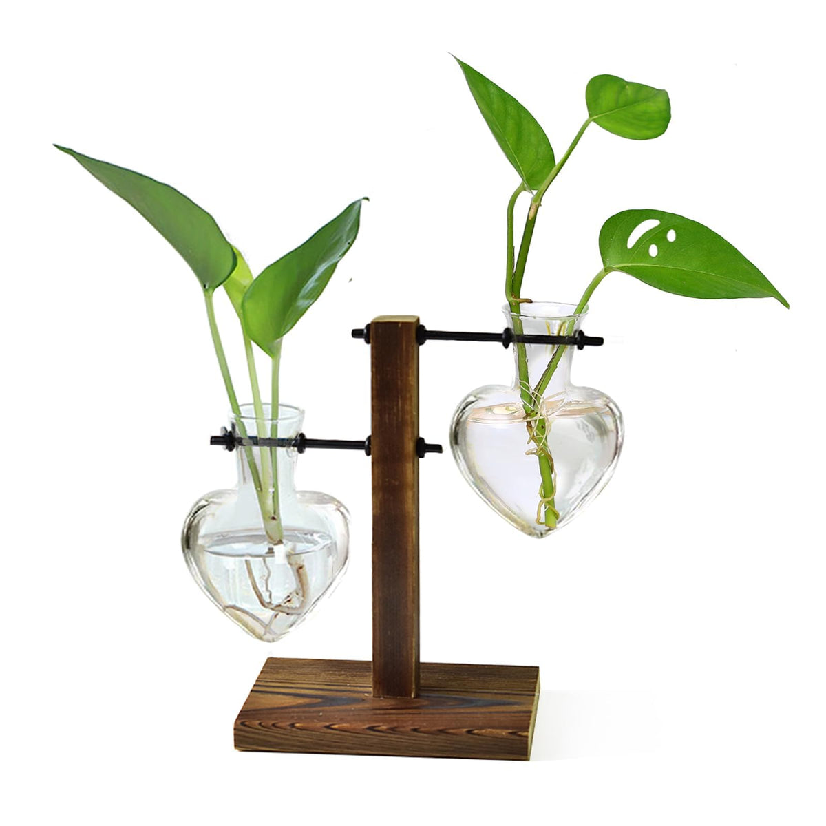 XXXFLOWER plant terrarium on wooden stand adds natural warmth to your desk