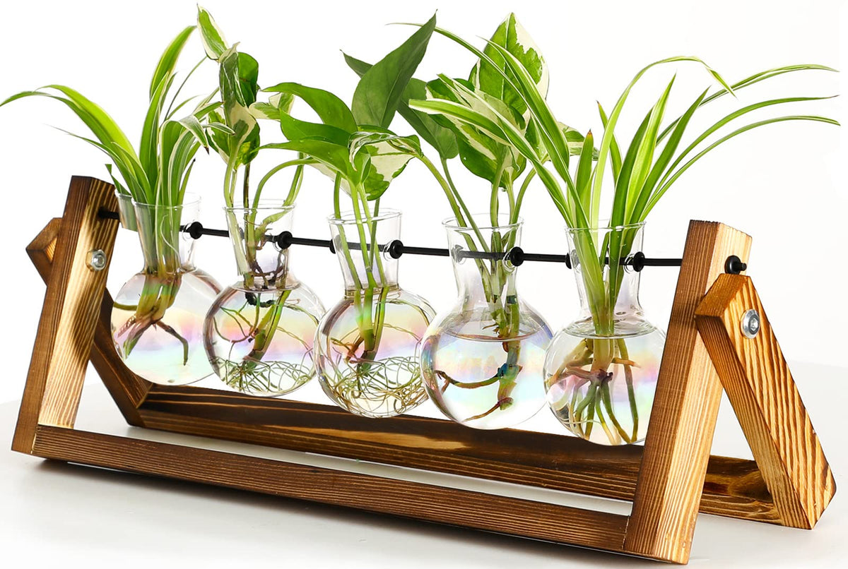 XXXFLOWER plant terrarium with wooden stand for stylish home decor