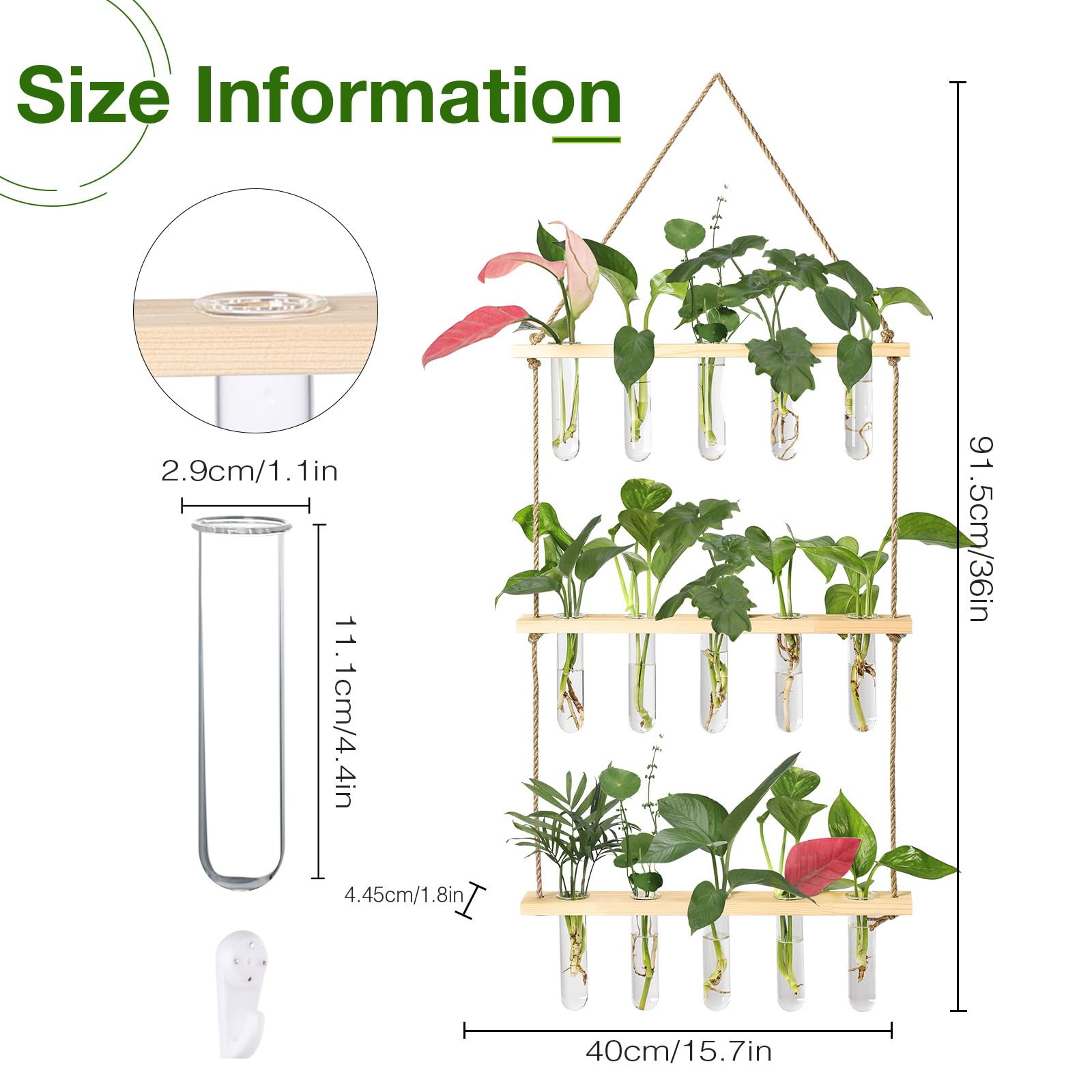 XXXFLOWER glass test tubes provide clear rooting space for cuttings.