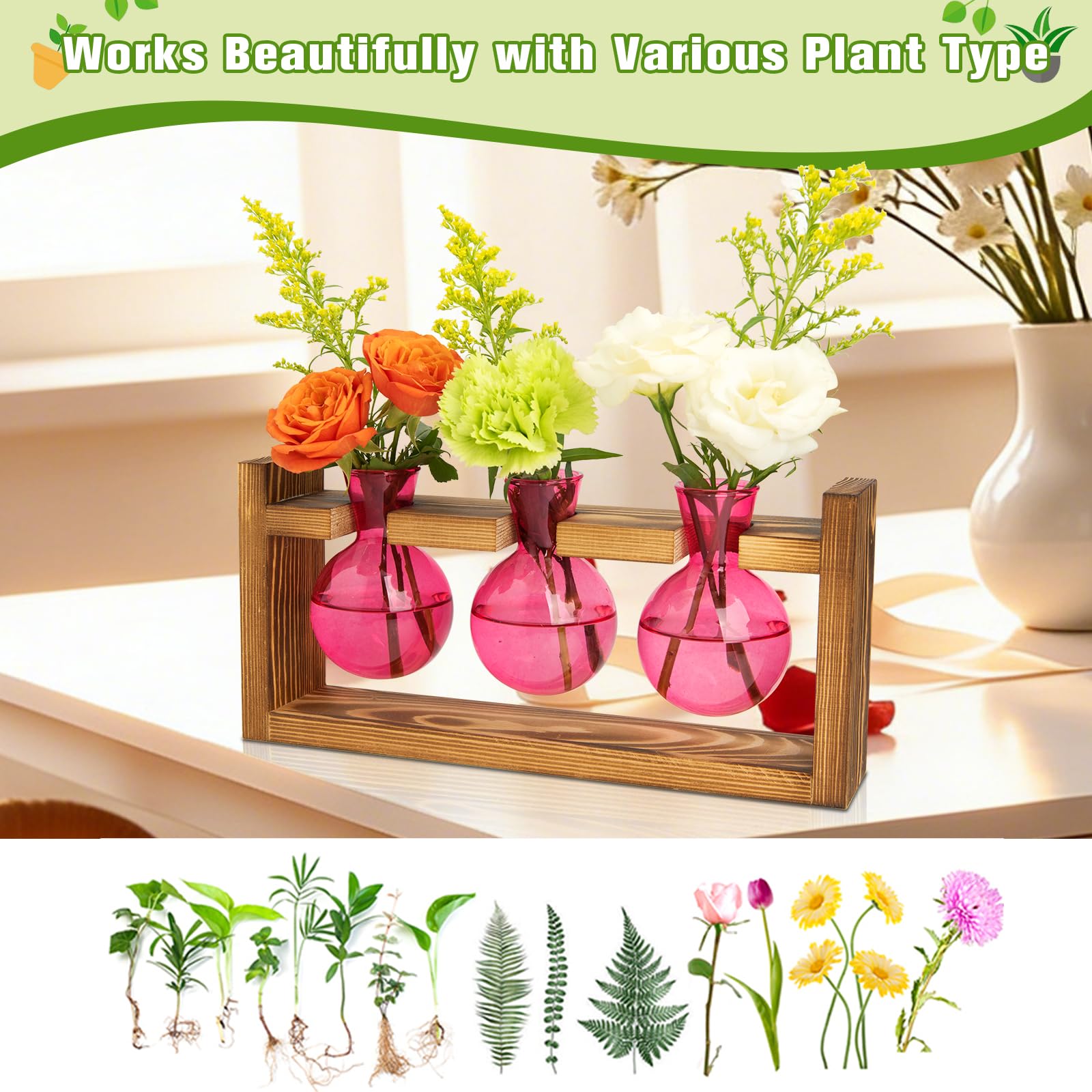 XXXFLOWER pink propagation station as a decor focal point for spaces