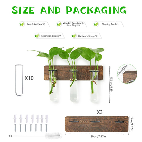 XXXFLOWER propagation tubes in clear glass ideal for starting cuttings and observing roots.