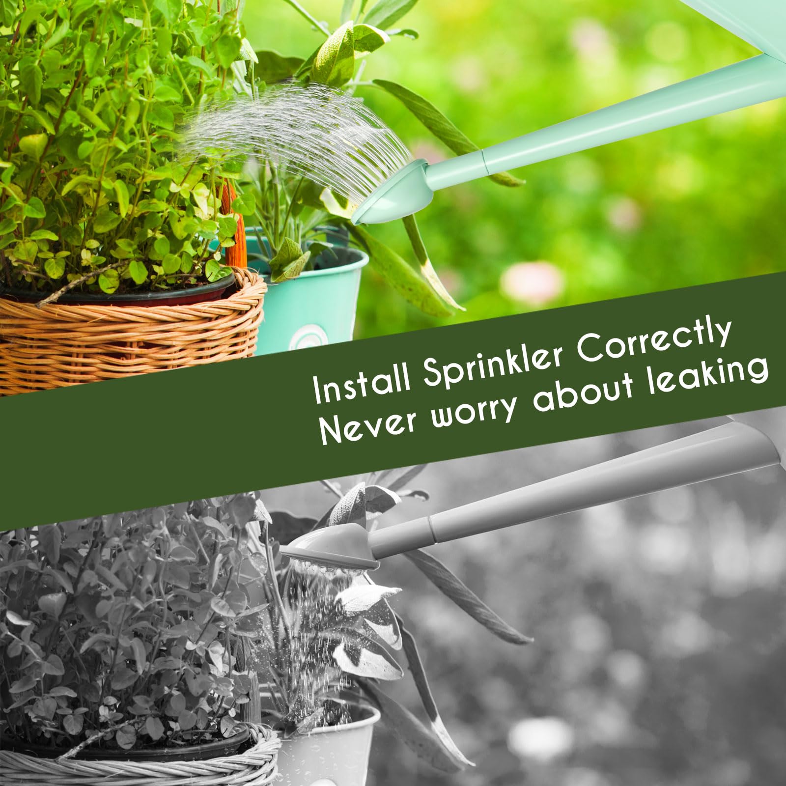 XXXFLOWER green compact can decorates windowsills while supporting easy indoor plant care.