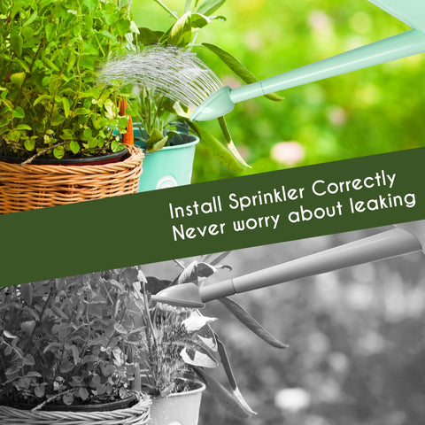 XXXFLOWER green compact can decorates windowsills while supporting easy indoor plant care.