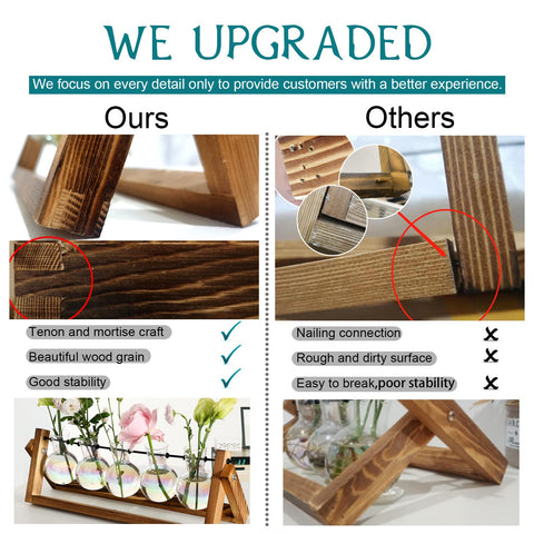 XXXFLOWER tabletop propagation station supports cuttings and displays