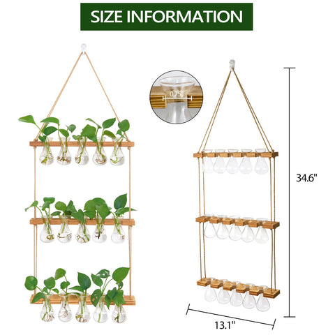 XXXFLOWER three-tier wall planter terrarium showcases plants while saving space in small rooms.