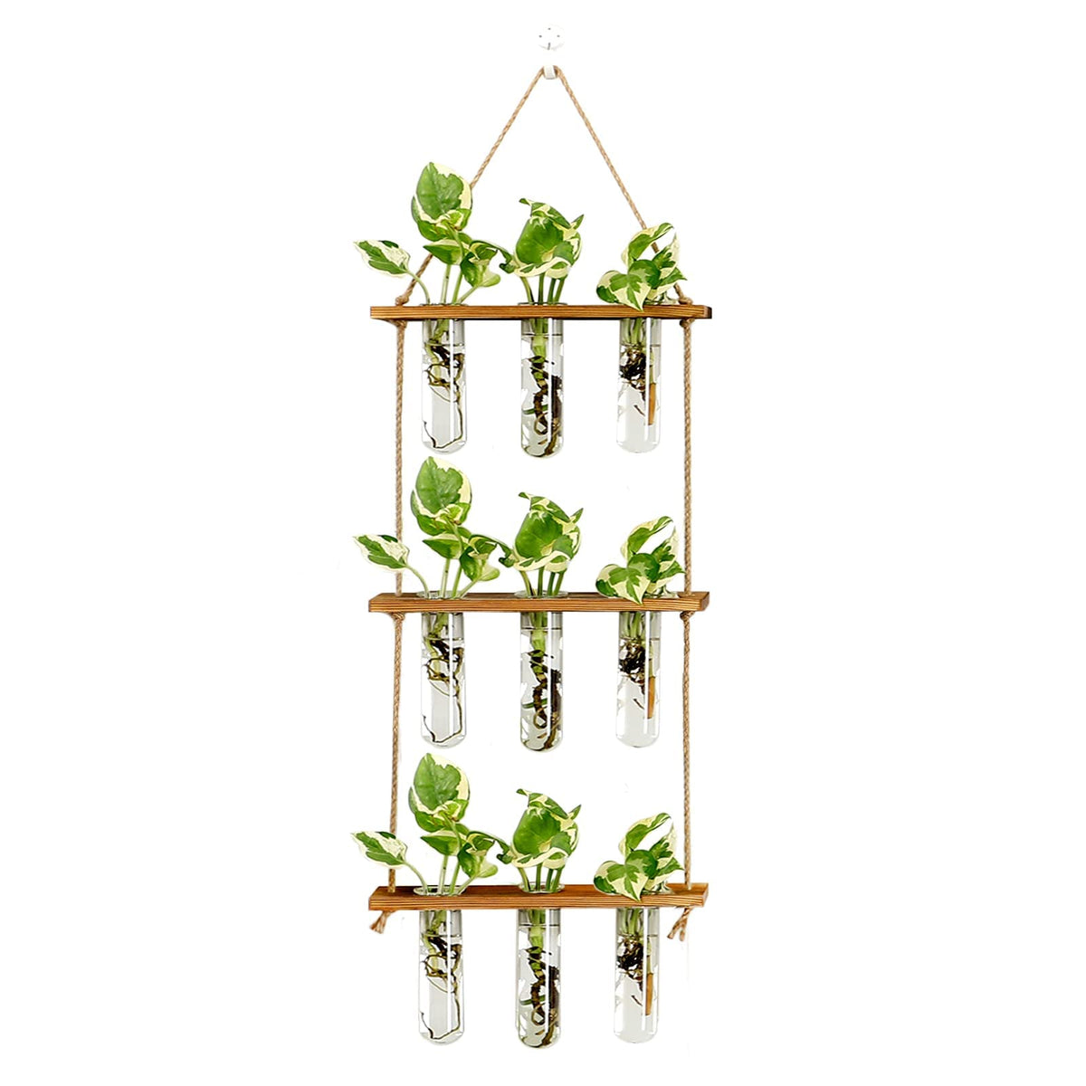 XXXFLOWER wall-hanging propagation station nine tubes for rooting cuttings.