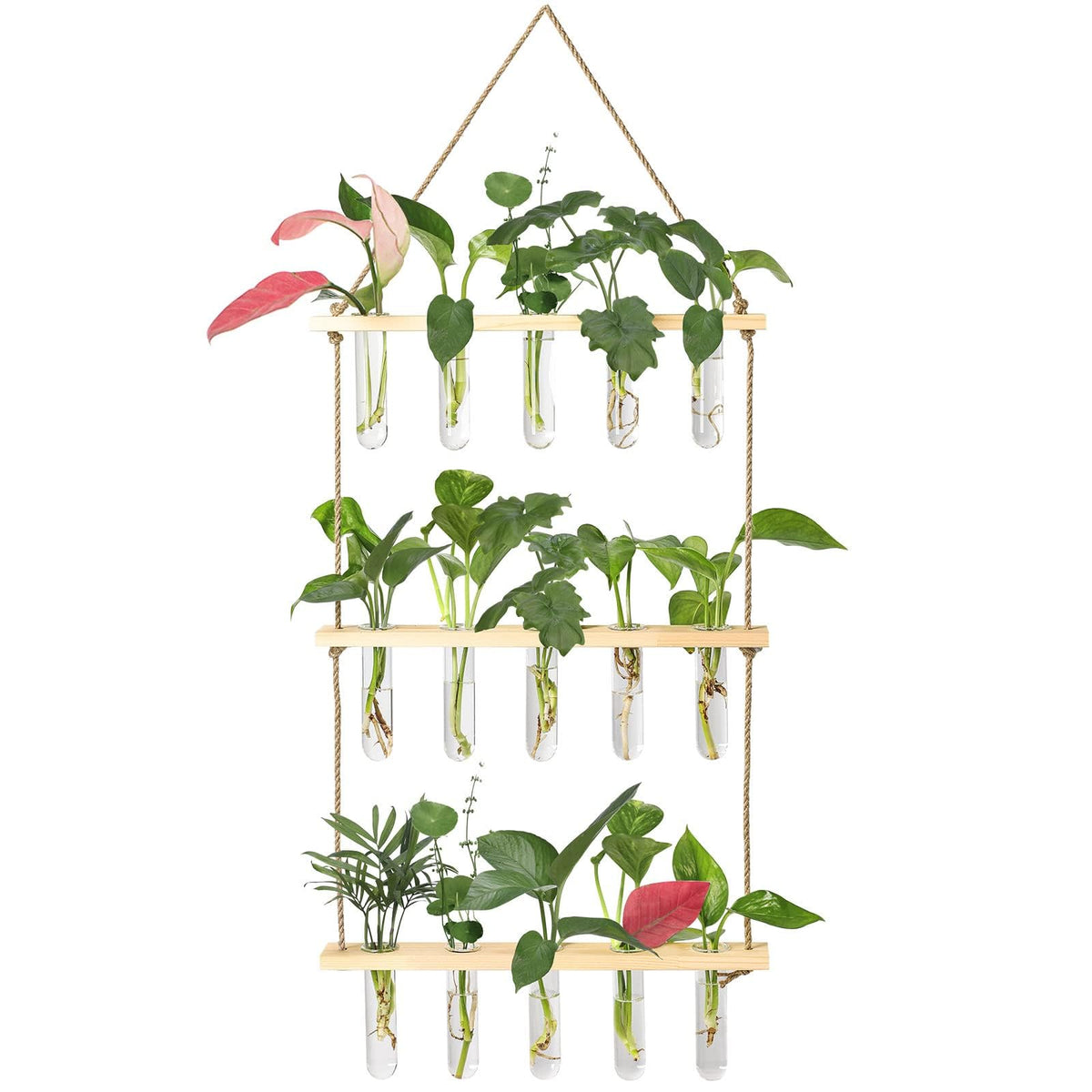 XXXFLOWER wall hanging propagation station with wood stand enhances plant display.