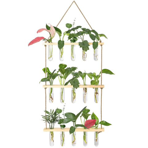 XXXFLOWER wall hanging propagation station with wood stand enhances plant display.
