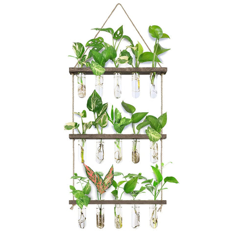 XXXFLOWER wall hanging propagation station with wooden stand for easy rooting of cuttings.