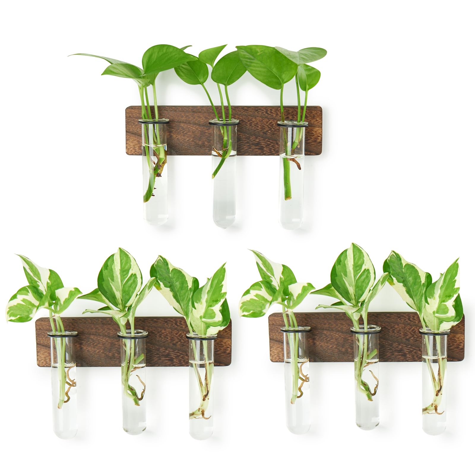 XXXFLOWER wall-mounted terrarium with wooden stand for stylish indoor greenery.