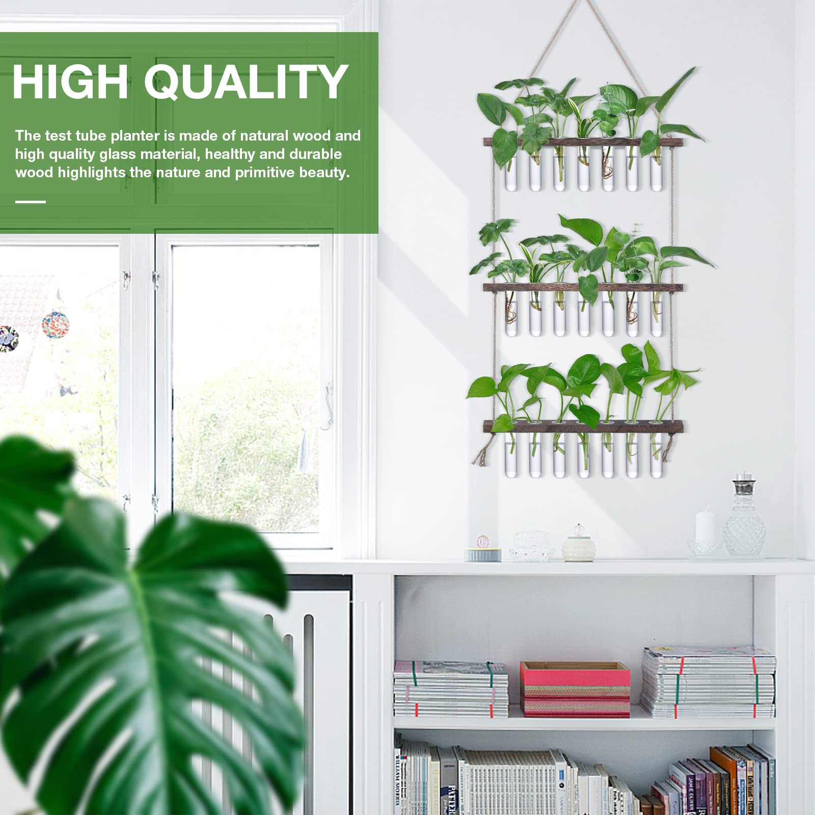 XXXFLOWER glass tubes provide clear rooting spaces in a sleek frame