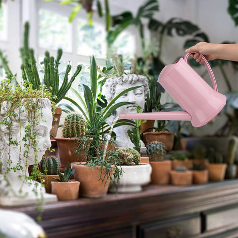 XXXFLOWER pink watering can packaged as a thoughtful plant lover gift.