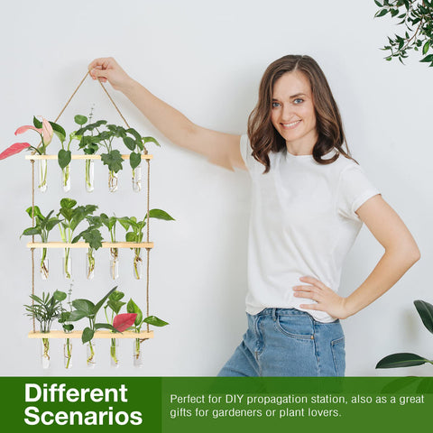 XXXFLOWER wedding or holiday decor accent with live plant cuttings.