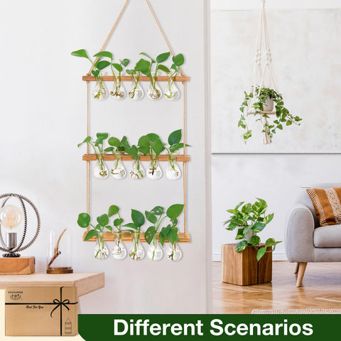 XXXFLOWER wooden-frame propagation station blends natural decor with practical plant care.