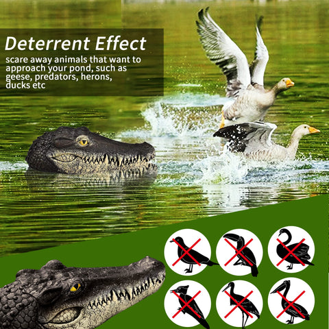 Xxzhiho outdoor alligator head statue enhances pond aesthetics while deterring ducks.