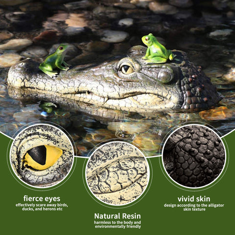 Xxzhiho resin alligator head deterrent for gardens, pools, and water features.