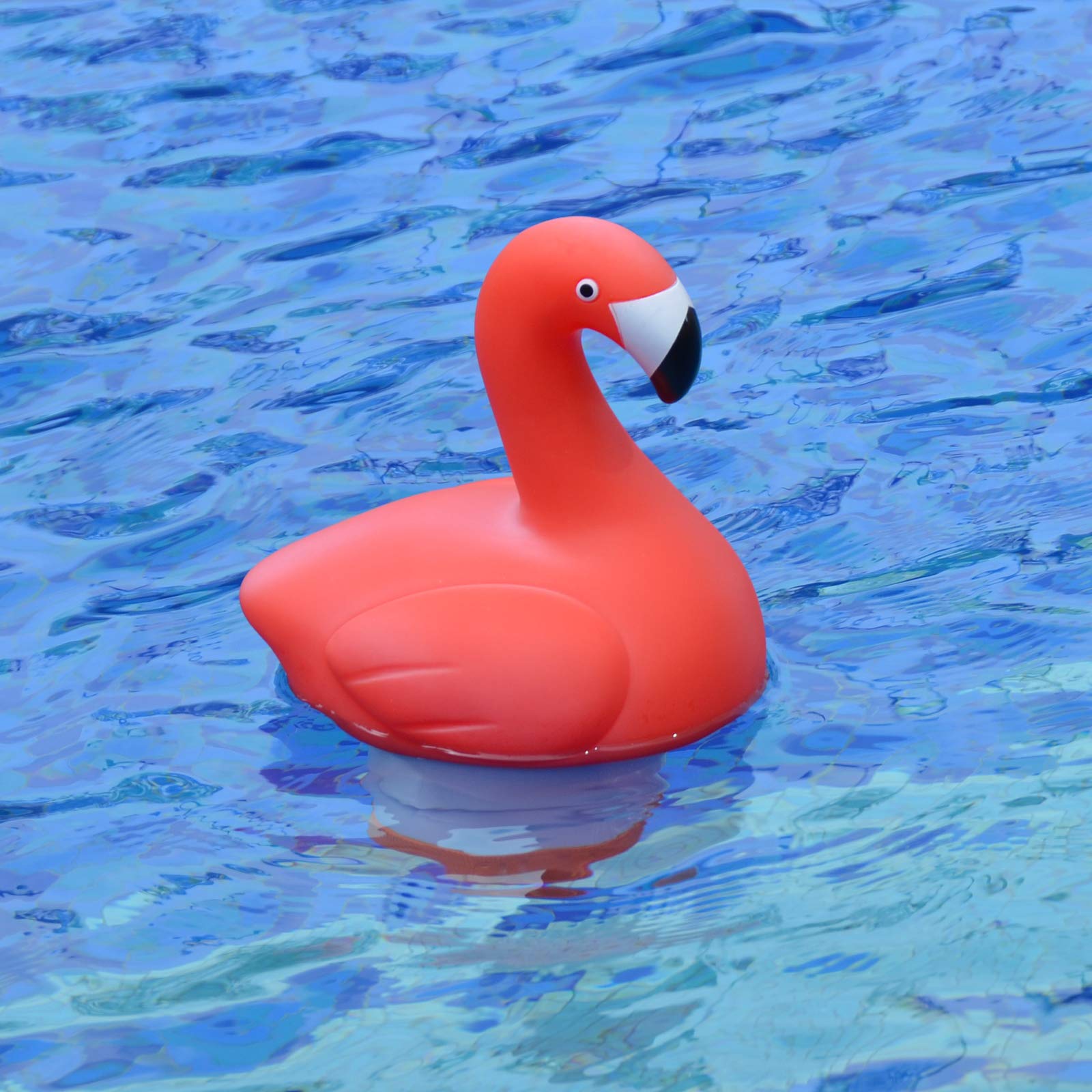 XY-WQ fits 1-inch and 3-inch tablets for pool versatility.