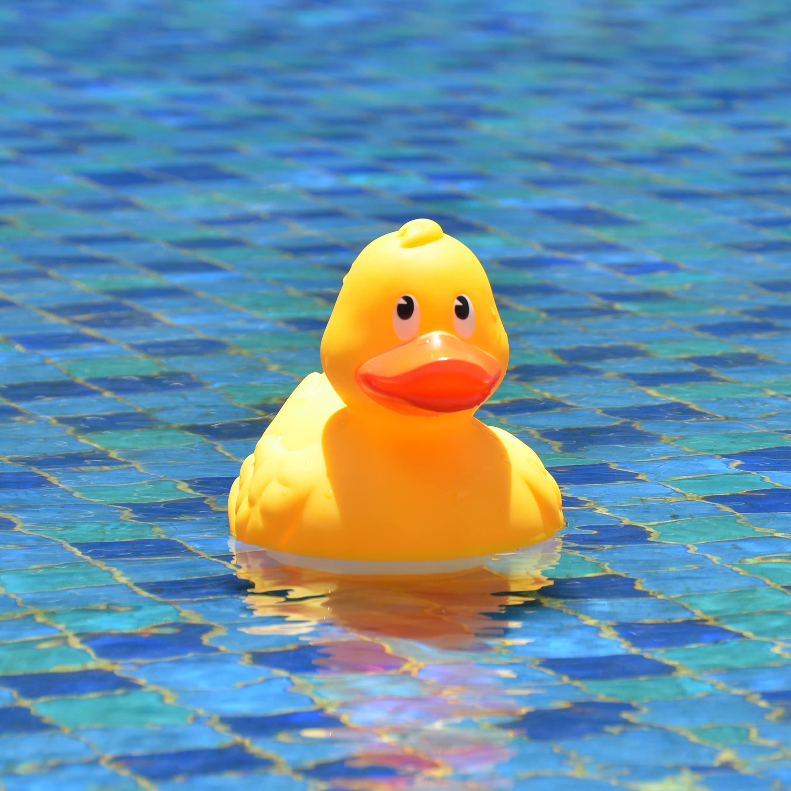 XY-WQ fits one-inch and three-inch tablets for versatile pool and spa dosing.