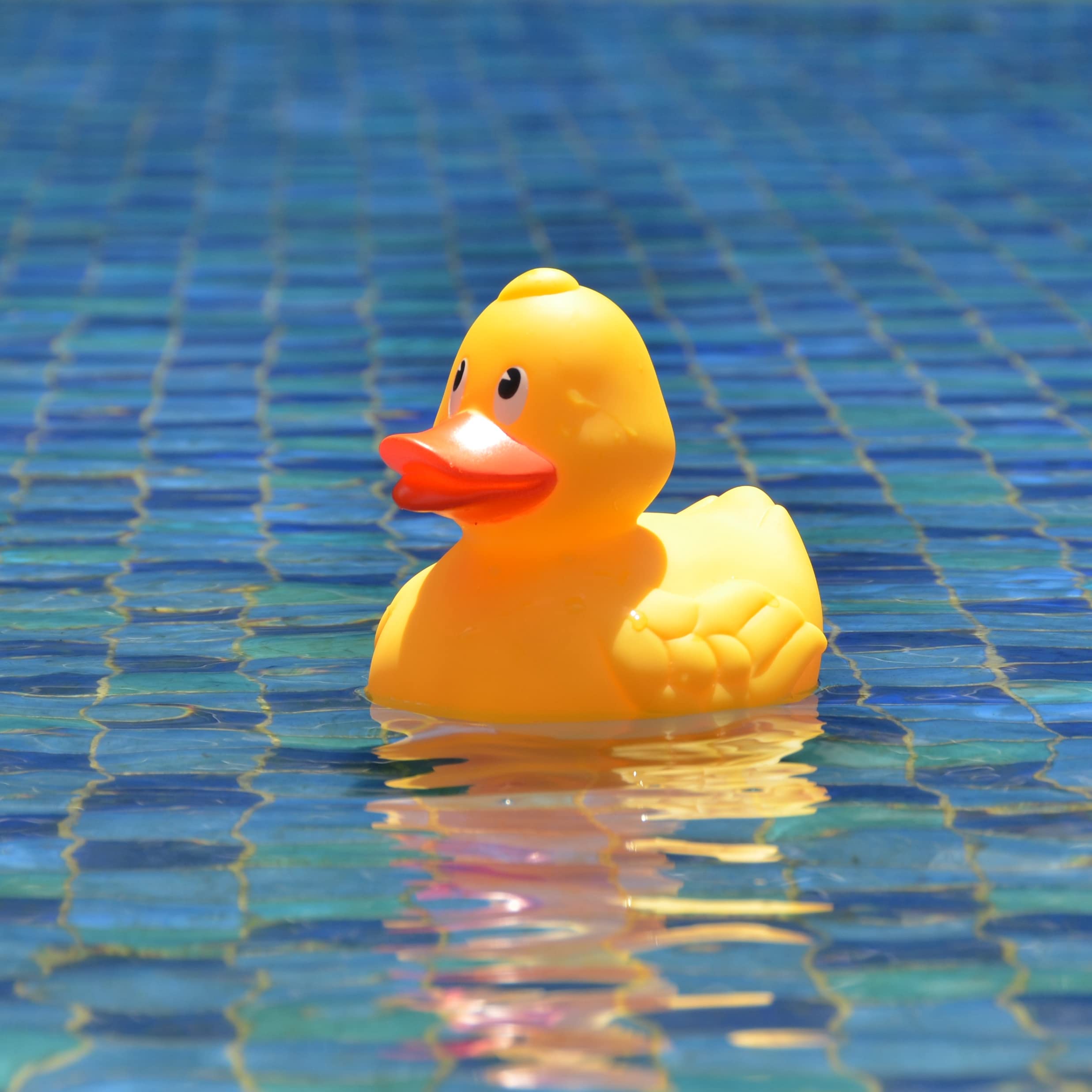 XY-WQ duck-shaped float adds friendly decor while delivering steady chlorine release.