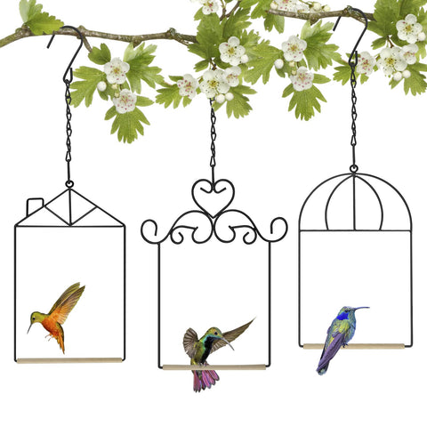 XYADX 3PK metal frame hummingbird swings black can attract nearby birds.