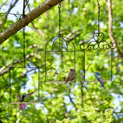 XYADX bird feeder nearby swing adds charm while inviting curious visitors.