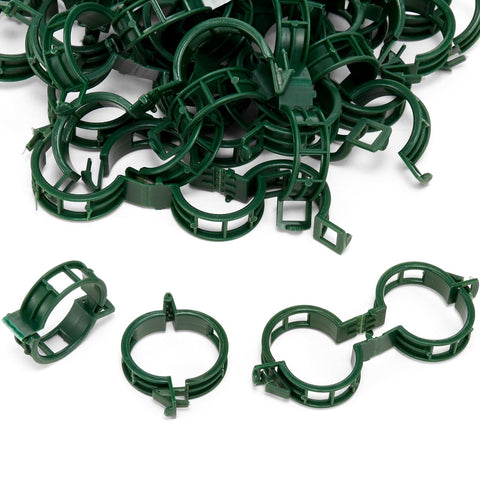 XYCING Plant Support Clips secure tomato vines to a trellis for neat growth