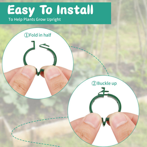 XYCING cucumber-tomato clips on trellis enable dense planting with easy access