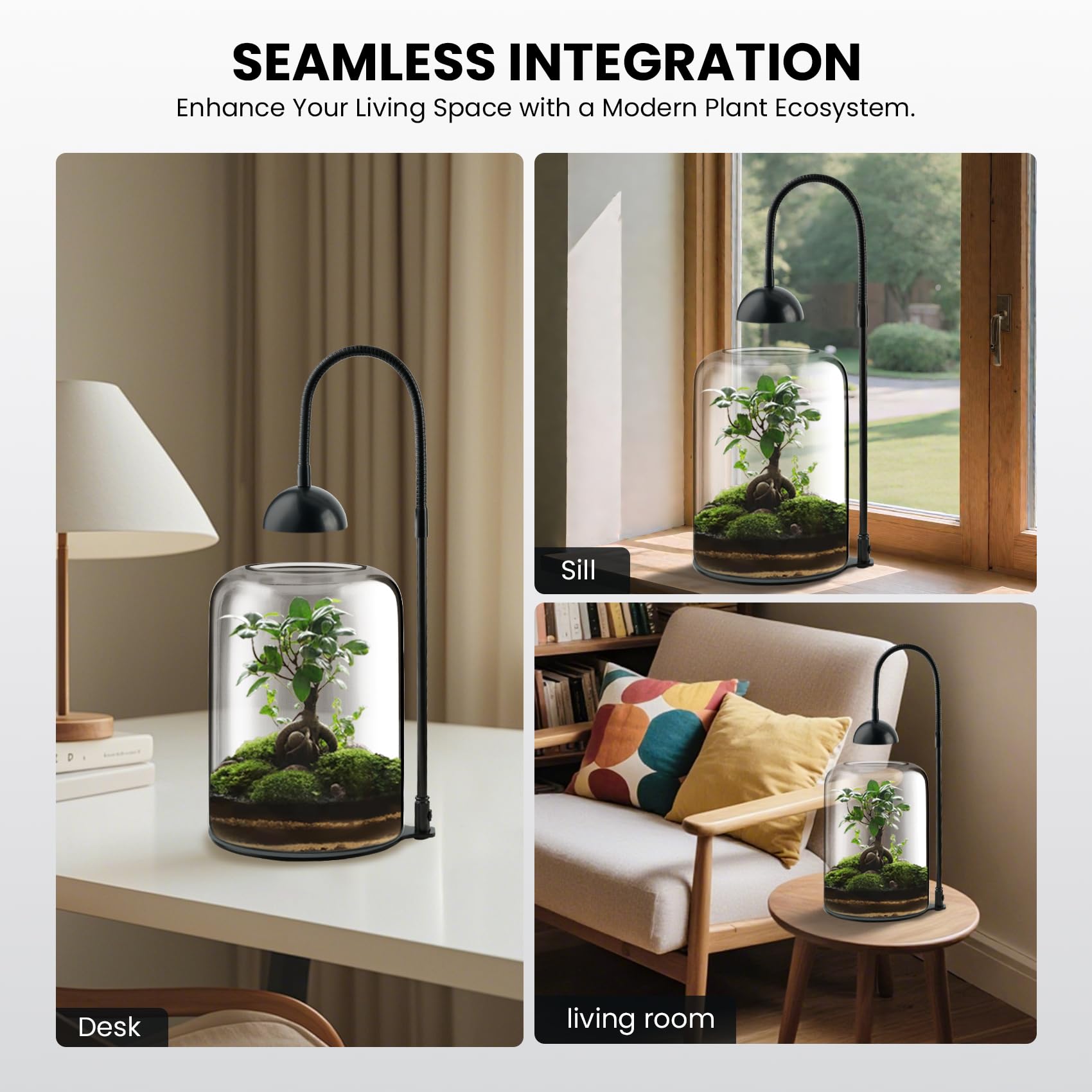 Xyingshine borosilicate glass showcases your arrangement from every angle.